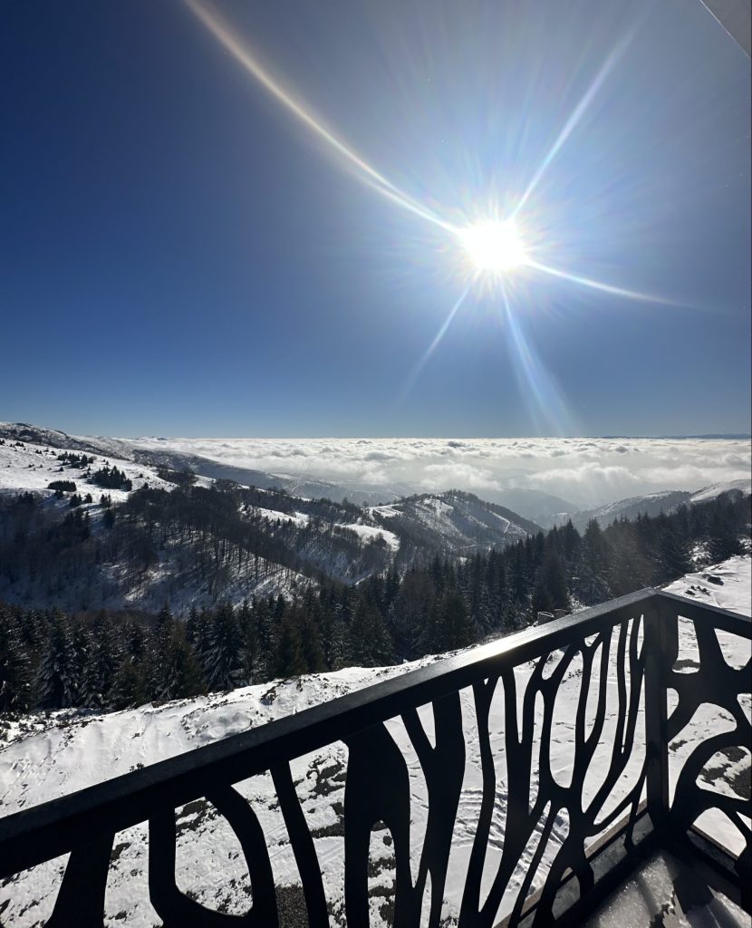 pogled-na-kopaonik-sa-terase-apartmana-vile-golije