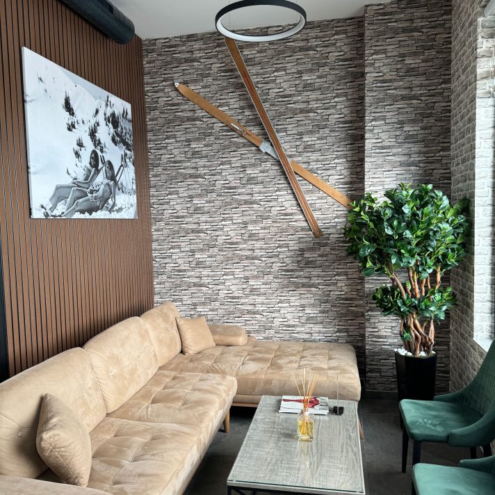 vila-golija-kopaonik-loby-bar-2